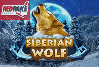 Siberian Wolf